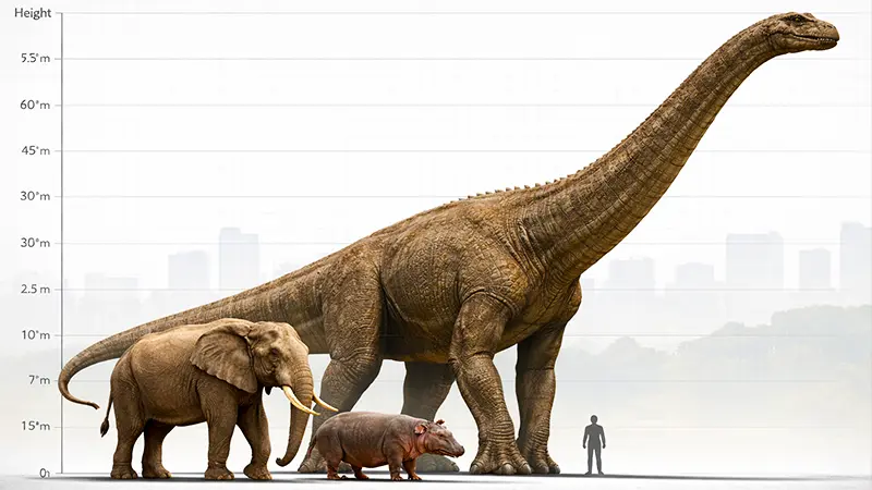 Dinossauros na Bíblia Beemote